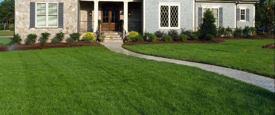 Dark, green lawn in Ada, MI, with a walkway in front of a house.