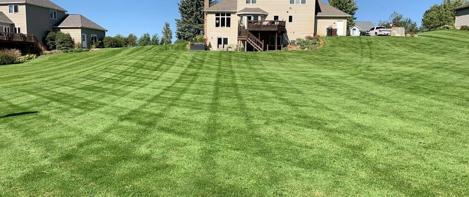 Large, green lawn in a backyard in Ada, MI.