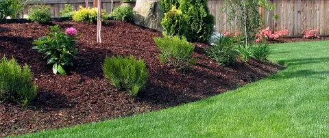 Mulch on a landscape bed in Ada, MI, beside a lawn.