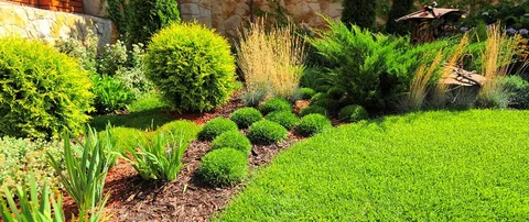 Neat lawn and landscape with shrubs and plants in Ada, MI.