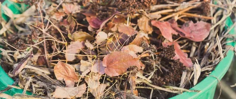 Yard debris from Ada, MI, on a trash bin.