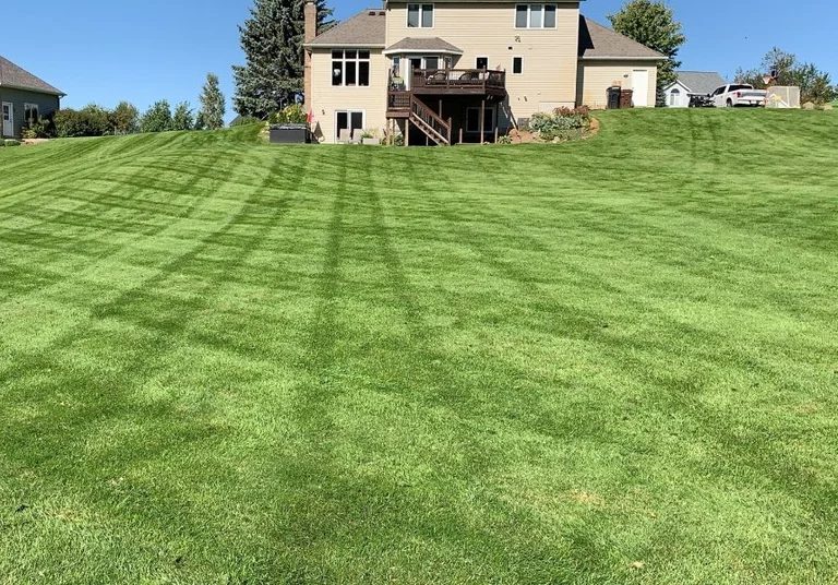 Well-maintained striped lawn behind house in Ada, MI.