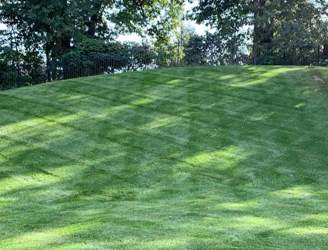 Contact Info For Woods Landscape Maintenance, (616) 868-6749